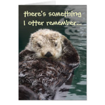 Belated Birthday Otter Greeting Cards