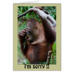 Belated Happy Birthday Card