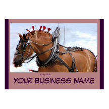 Belgian Horse Business Cards