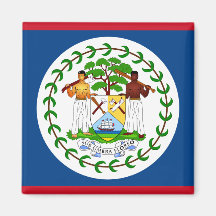 Belise Flag BZ Fridge Magnet