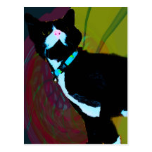 bella design gifts and greetings post card
