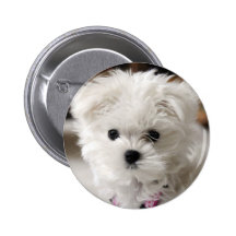 Bella Pinback Buttons