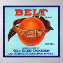 Belt Brand California Oranges Posters
