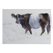 Belted Galloway Painting The White Stripe Greeting Cards