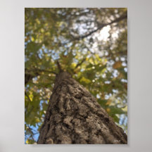 bending Tree Print
