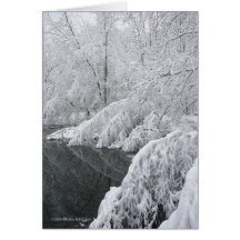 Bending Trees Cards