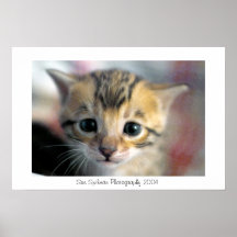 Bengal Baby Face Print