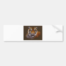 Bengal Face Tiger Bumper Stickers