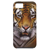 Bengal Face Tiger iPhone 5 Covers