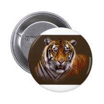 Bengal Face Tiger Pinback Button