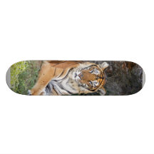 Bengal Tiger 002 Skateboard