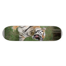 Bengal Tiger 006 Skateboard