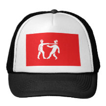 Benin Empire Flag Mesh Hats