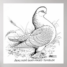 Berliner Pigeon Black and White Print