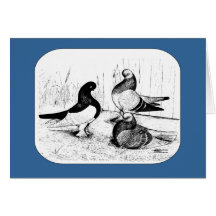 Berliner Tumbler Trio 1980 Greeting Card