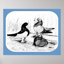 Berliner Tumbler Trio 1980 Print