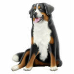 Bernese Mountain Dog Ornament Photo Cut Outs