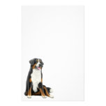 Bernese Mountain Dog Stationery