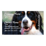 Bernese Mountain Dog with Big Tongue Business Card