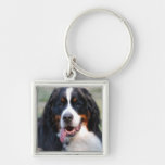 Bernese Mountain Dog with Big Tongue Keychain