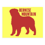 Bernese Mountain Post Cards