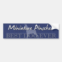 Best Dog Miniature Pinscher Bumper Sticker