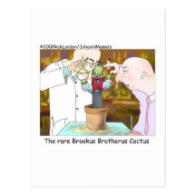 Best-Dressed Cactus Funny Gifts & Collectibles Postcard