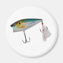Best Fishing Baits for Bass and other fish Magnets