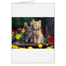 Best Friends Cards