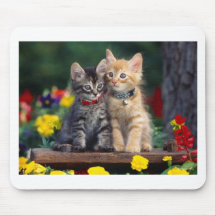 Best Friends Mouse Pad