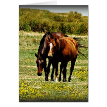 "Best Friends" - Pair of Horses Card