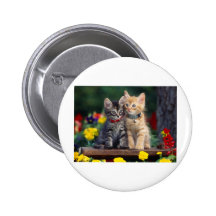 Best Friends Pins