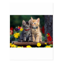 Best Friends Post Cards