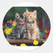 Best Friends Sticker