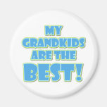 Best Grandkids Magnets