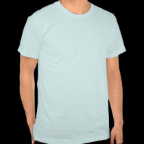 Beware I'm a Kung Fu Master t-shirts
