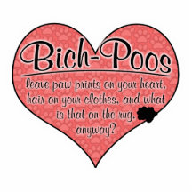 Bich-Poo Paw Prints Dog Humour Photo Cutout