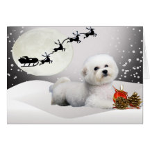 Bichon Frise A Merry Christmas Greeting Card