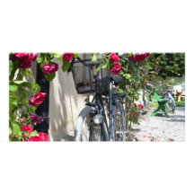 Bicycles and roses in Sweden Photo Cards