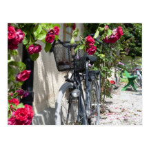 Bicycles and roses in Sweden Postcards