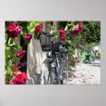 Bicycles and roses in Sweden Posters
