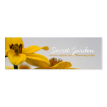 Bidens Business Card Template