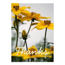 Bidens Personalized Invitations