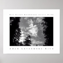 Big Basin Redwoods State Park Poster
