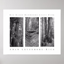 Big Basin Redwoods State Park  Posters