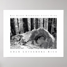 Big Basin Redwoods State Park Print