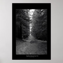 Big Basin Redwoods State Park Print