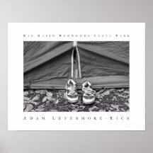 Big Basin Redwoods State Park Print