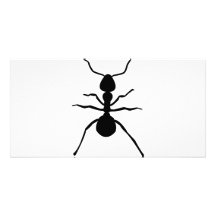big black ant icon customized photo card