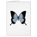 Big Blue & Black Butterfly Greeting Card